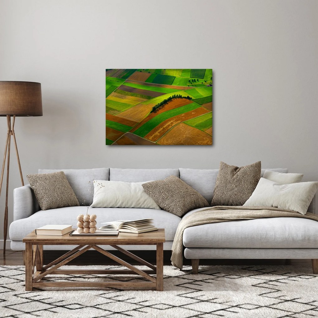 Obraz - Pola, łąki (70x50 cm)