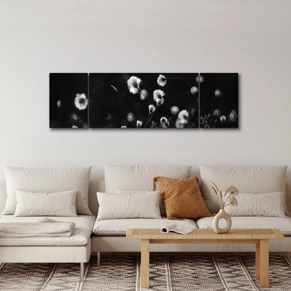 Obraz - Łąka z trawą bawełnianą N⁰1 (170x50 cm)