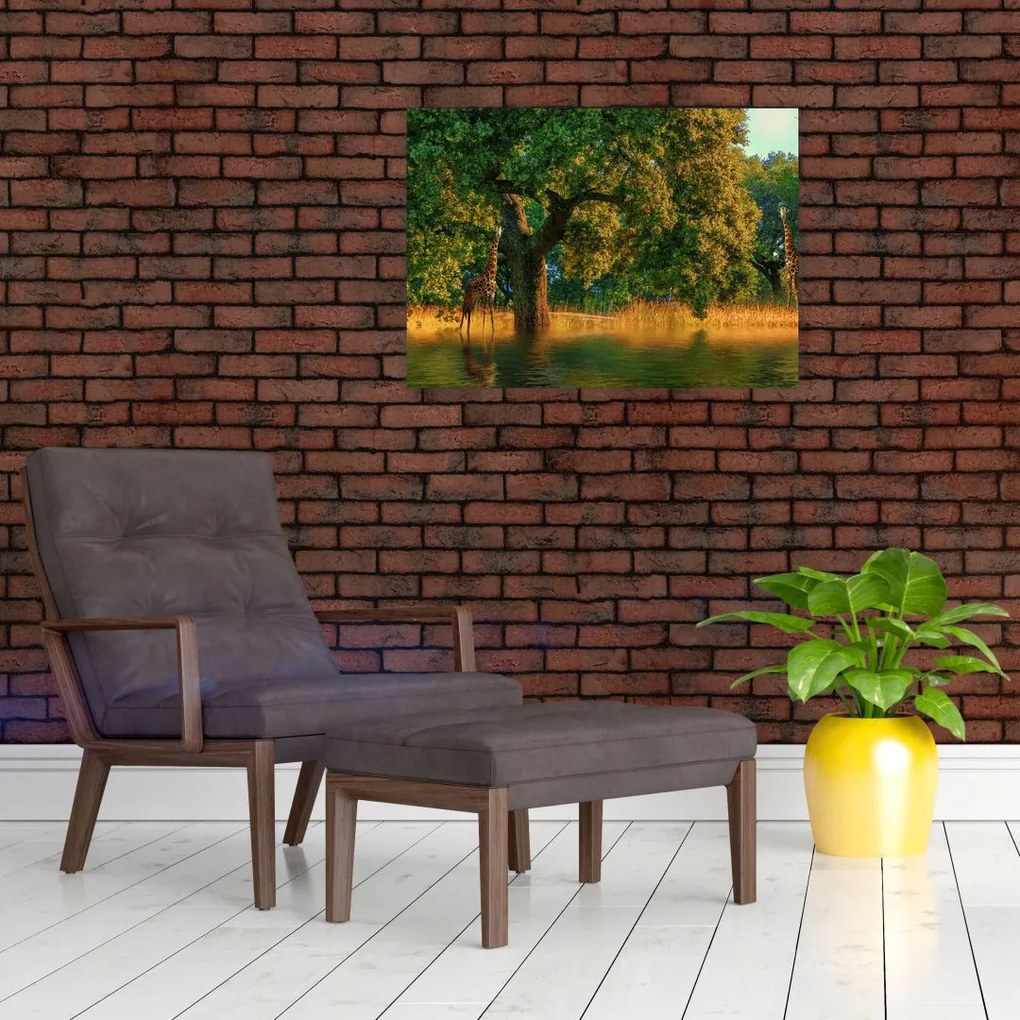 Obraz żyraf w naturze (70x50 cm)