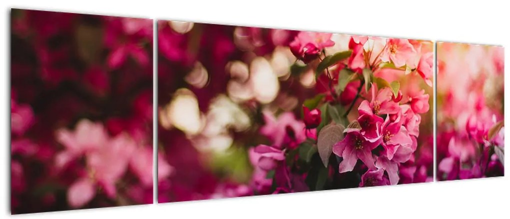 Obraz kwiatów malwy (170x50 cm)