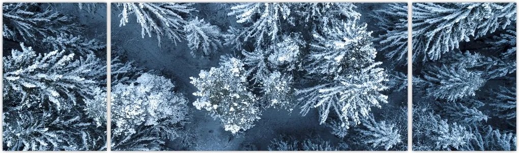 Obraz - Śnieżny las (170x50 cm)