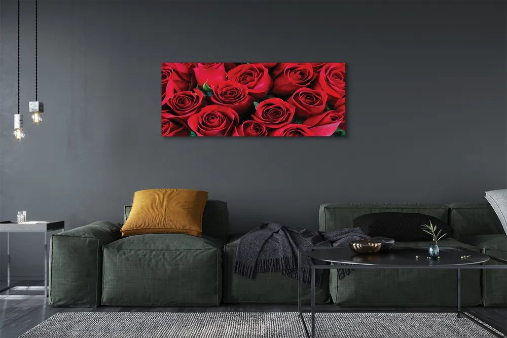 Duży obraz na płótnie Rozkwit Czerwonych Róż
