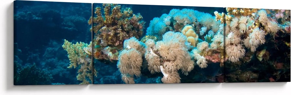 Obraz - W oceanie (170x50 cm)