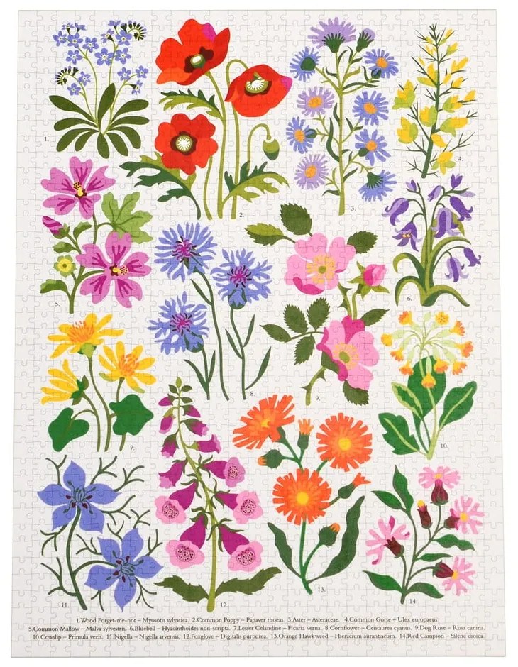 Puzzle (liczba elementów 1000) Wild Flowers – Rex London