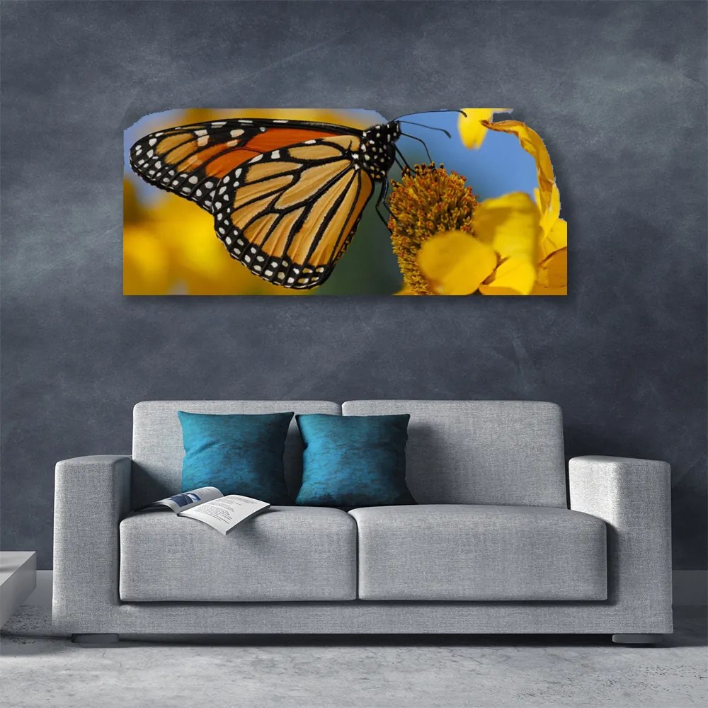 Obraz canvas na ścianę Kolorowy Motyl na Kwiatku