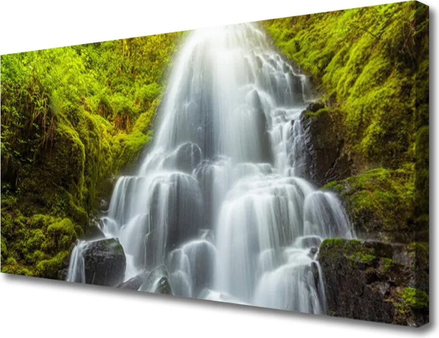 Obraz na płótnie Szum Górskiego Wodospadu