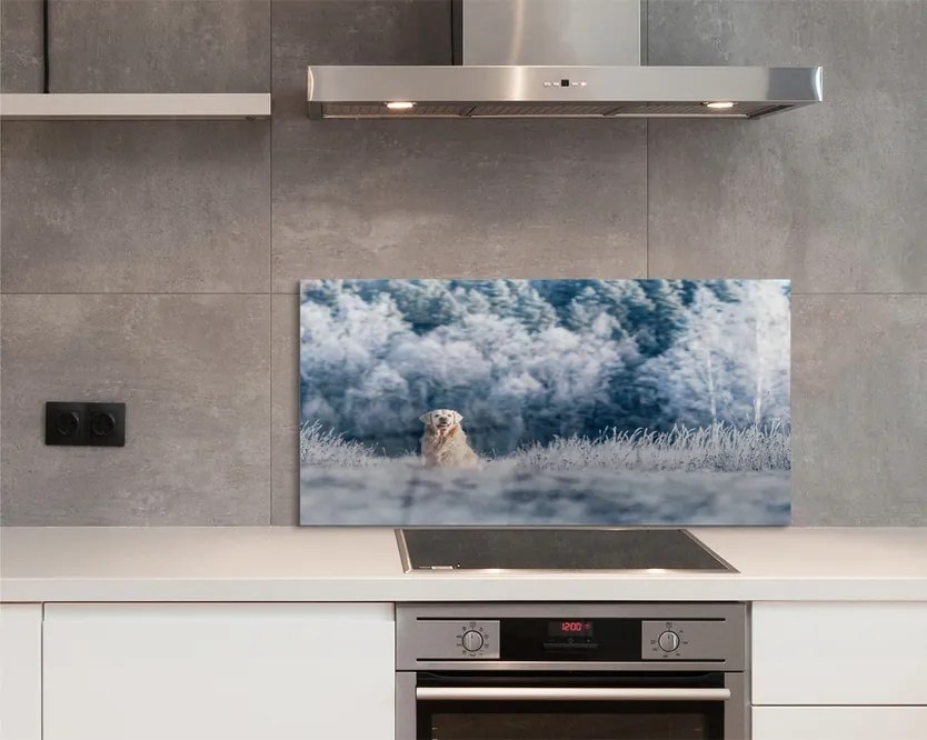 Szklany Panel Pies w Zimowych Górach