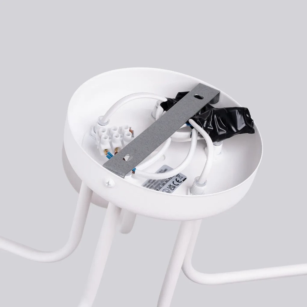 Żyrandol ASTRAL 5 biały SOLLUX LIGHTING