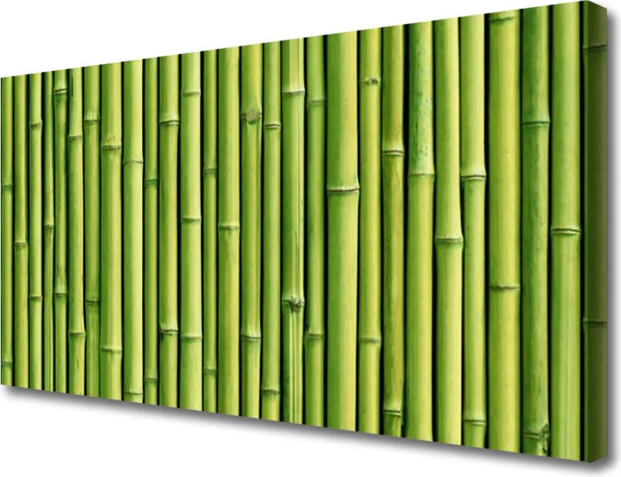 Duży obraz na płótnie Naturalna Gęstwina Bambusowa