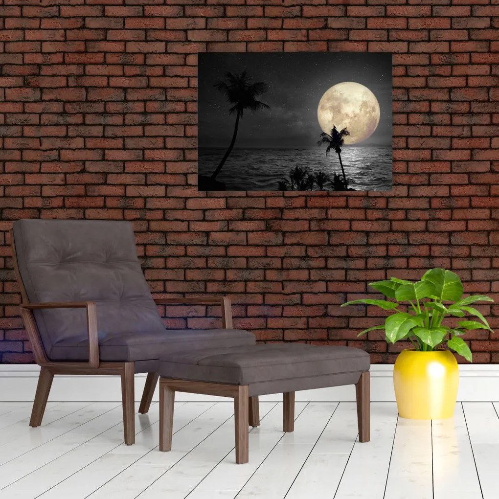 Obraz na szkle - Plaża pod pełnią księżyca w odcieniach szarości (70x50 cm)