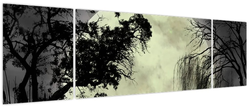 Obraz - Księżyc w pełni nad powierzchnią, wersja czarno - biała (170x50 cm)