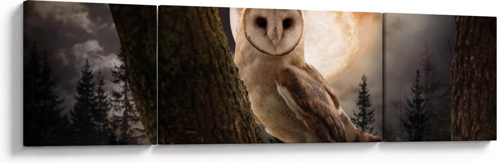 Obraz sowy palonej (170x50 cm)
