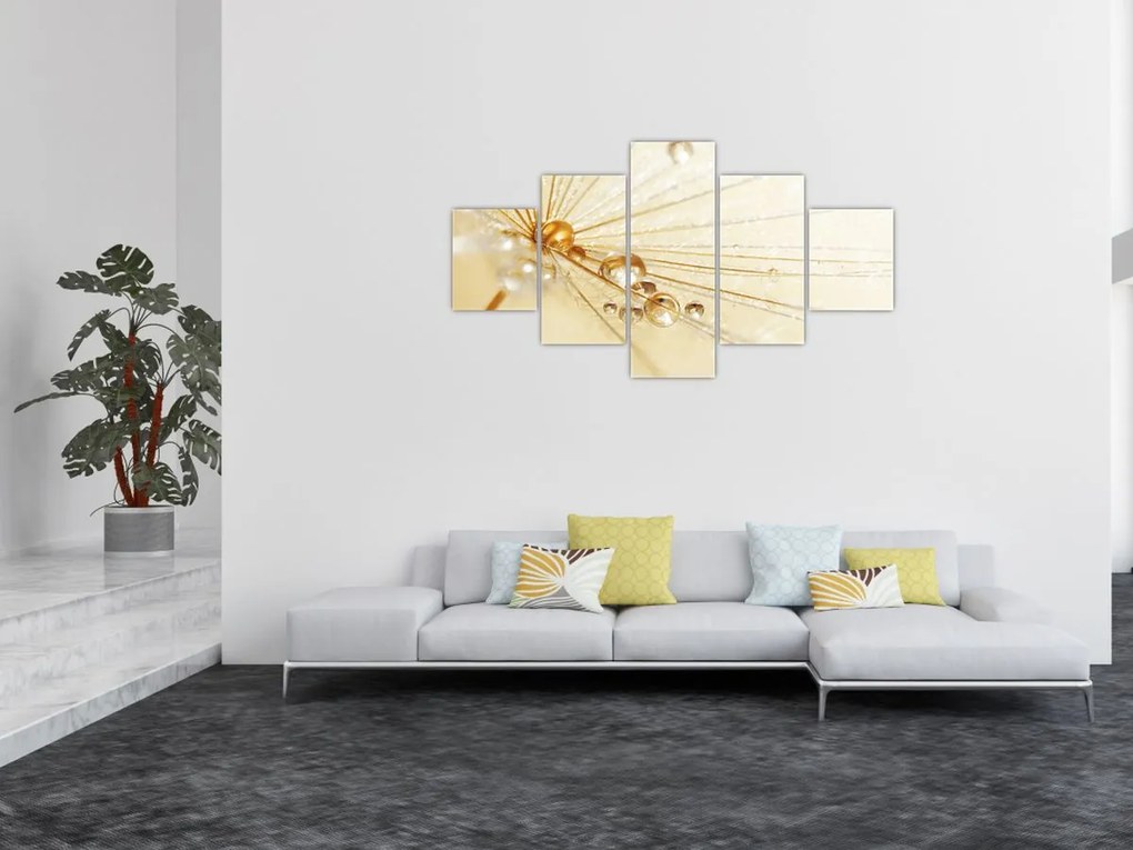 Obraz - Zdjęcie makro mniszka lekarskiego (125x70 cm)