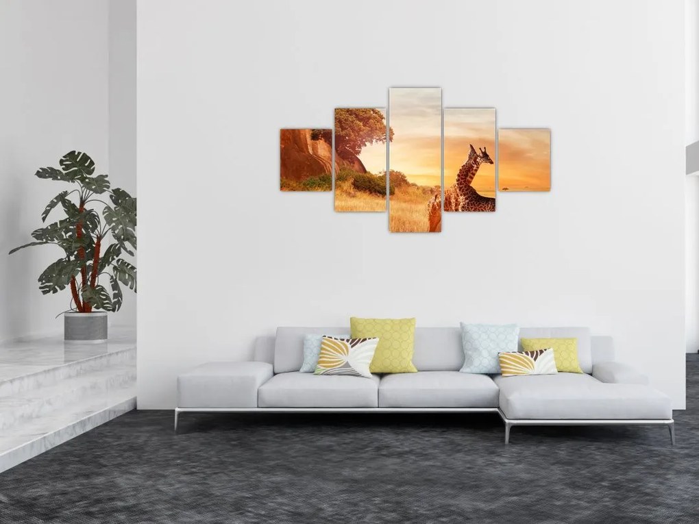 Obraz - Żyrafy w Afryce (125x70 cm)