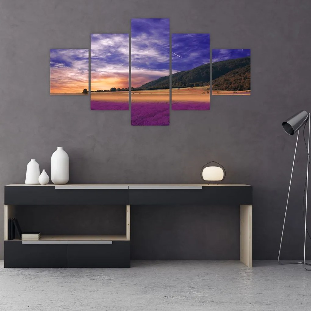 Obraz lawendowej łąki (125x70 cm)