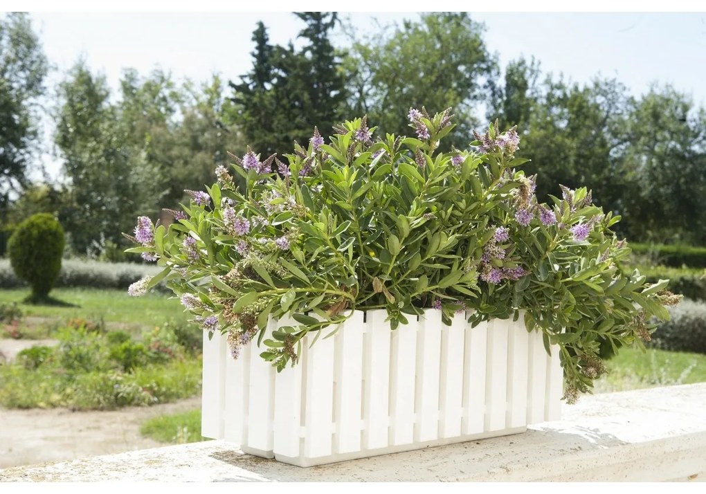 Gardenico Donica Fency antracyt, 50 x 18,5 cm, 50 cm