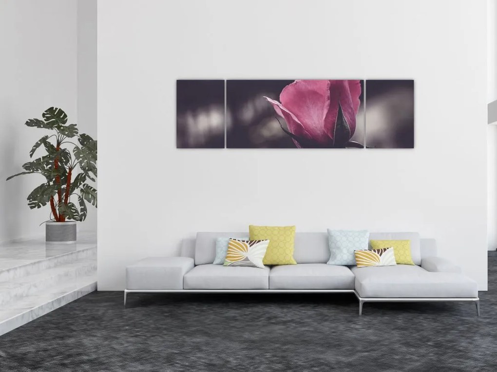 Obraz - Detal kwiatu róży (170x50 cm)