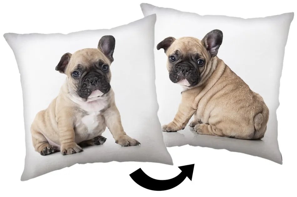 Poduszka dziecięca 40x40 cm Bulldog – Jerry Fabrics