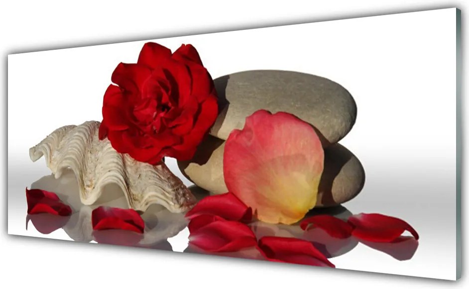 Panel Szklany Aksamitne Płatki Róż