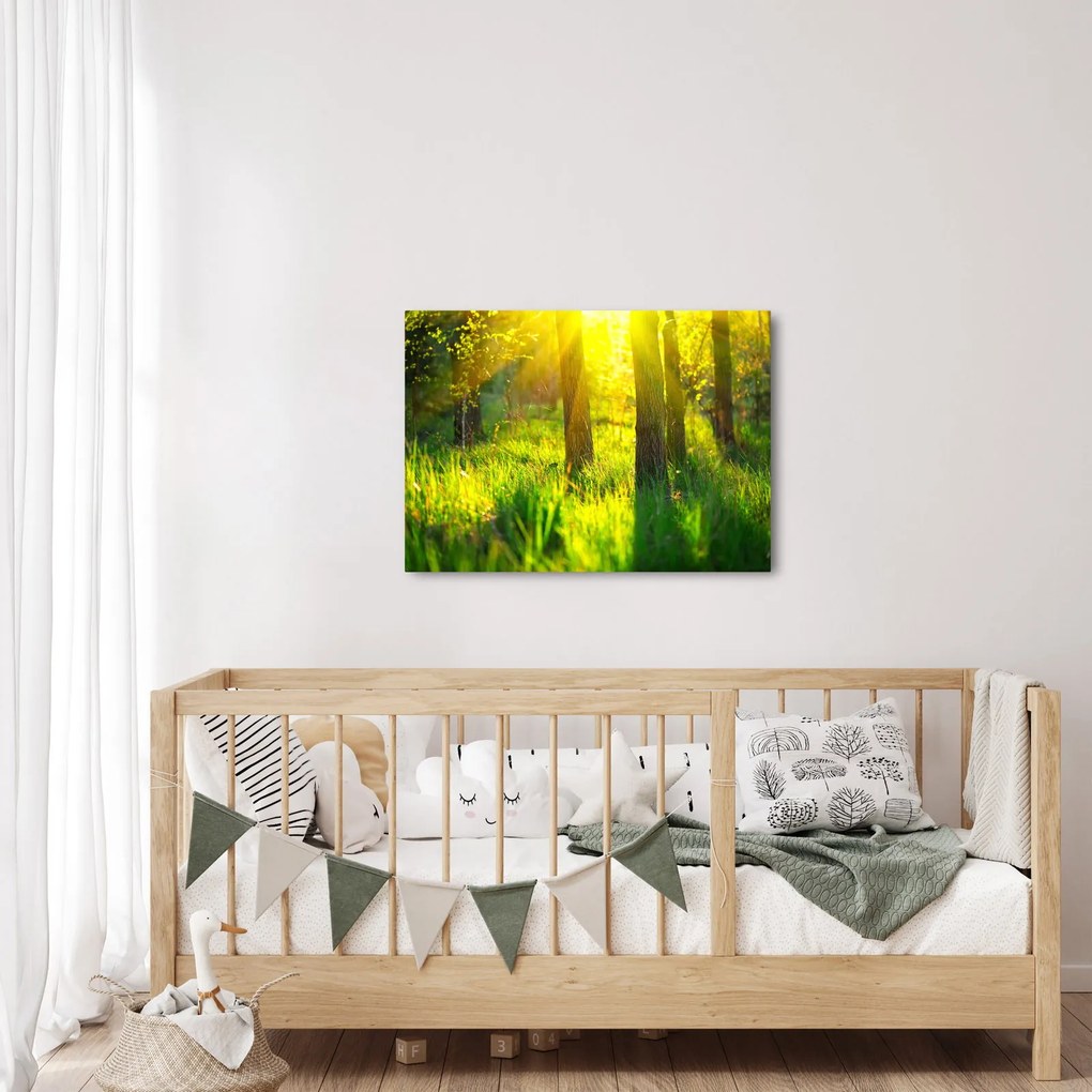 Obraz - Wiosenne przebudzenie lasu (70x50 cm)