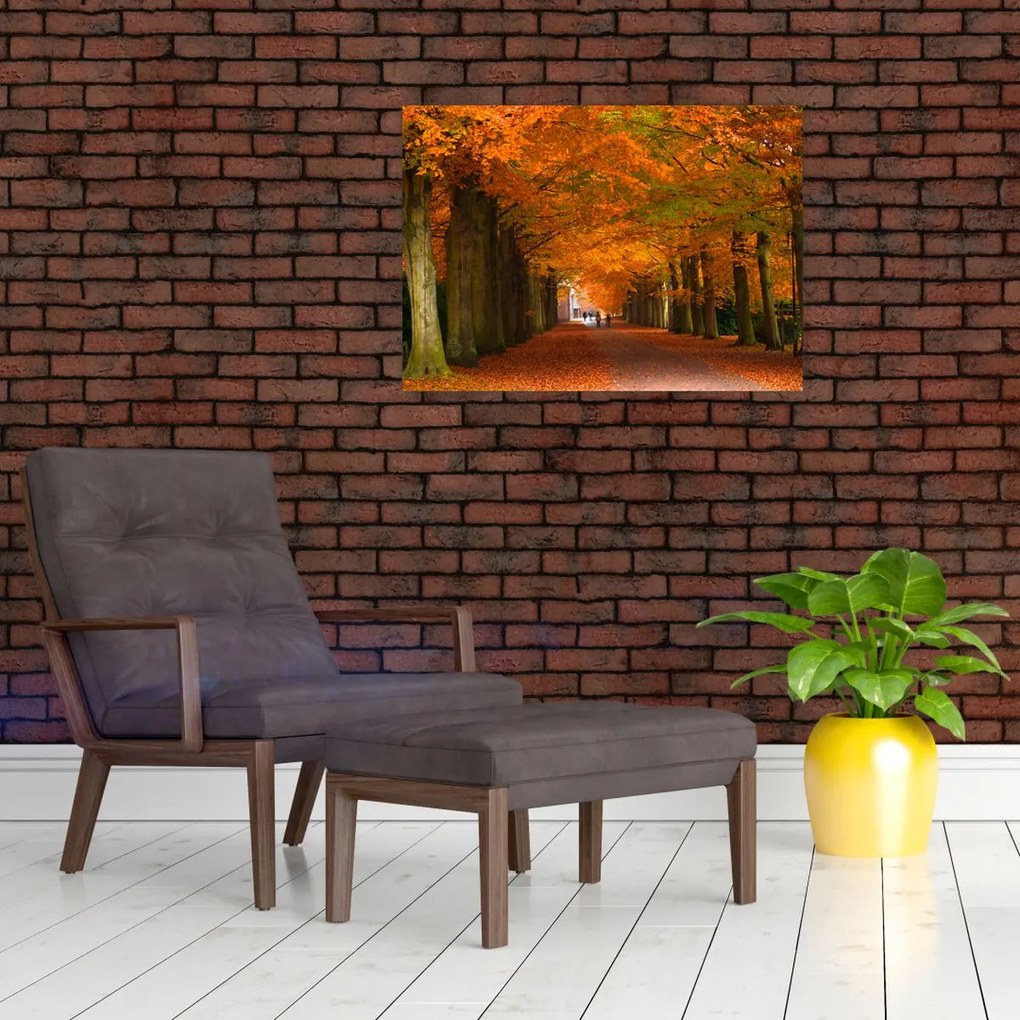 Obraz na szkle - Aleja drzew jesienią (70x50 cm)