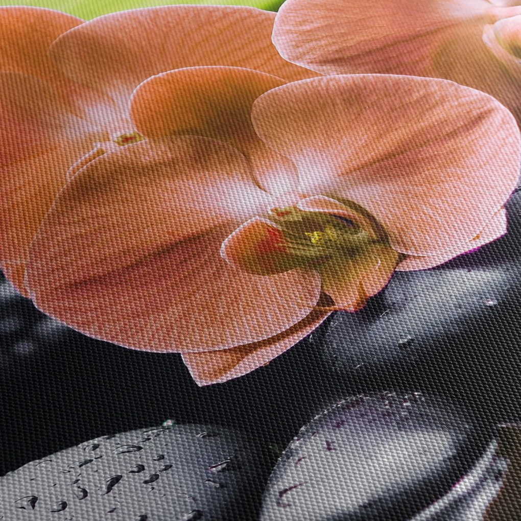 Obraz - Pomarańczowa orchidea z liśćmi palmy (170x50 cm)