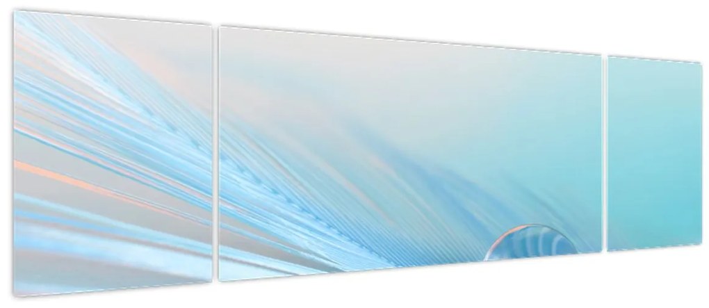 Obraz - Nebieska kropla (170x50 cm)
