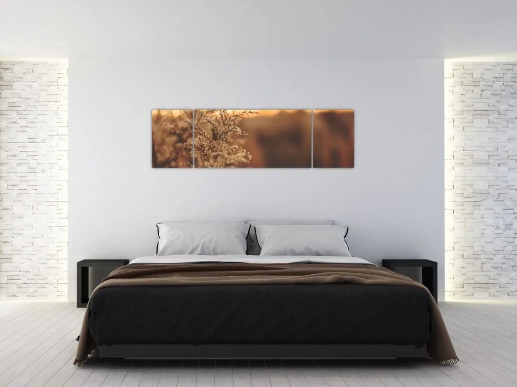 Obraz kwitnącej trawy (170x50 cm)