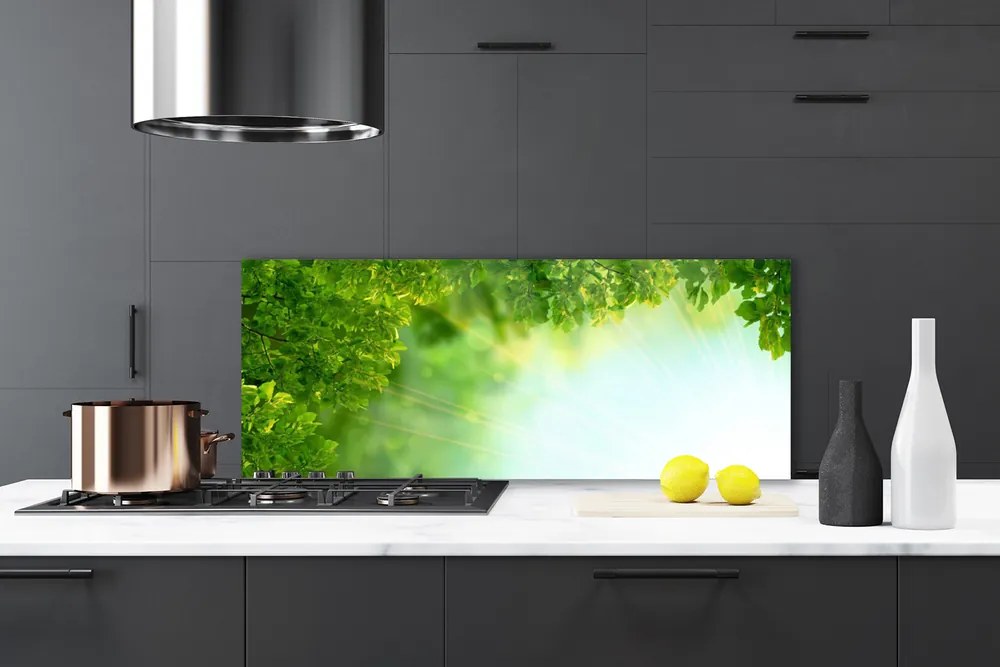 Panel Szklany Botaniczny Detal Liści