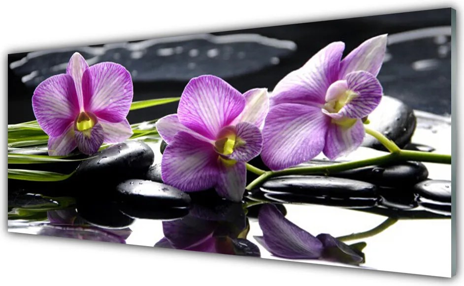 Panel nad blat kuchenny Biała Orchidea Na Płótnie