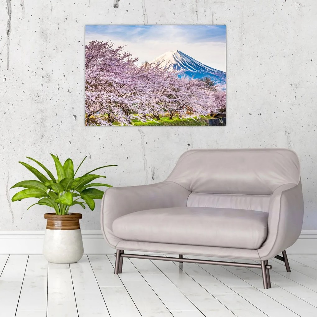 Obraz na szkle - Japonia wiosną (70x50 cm)