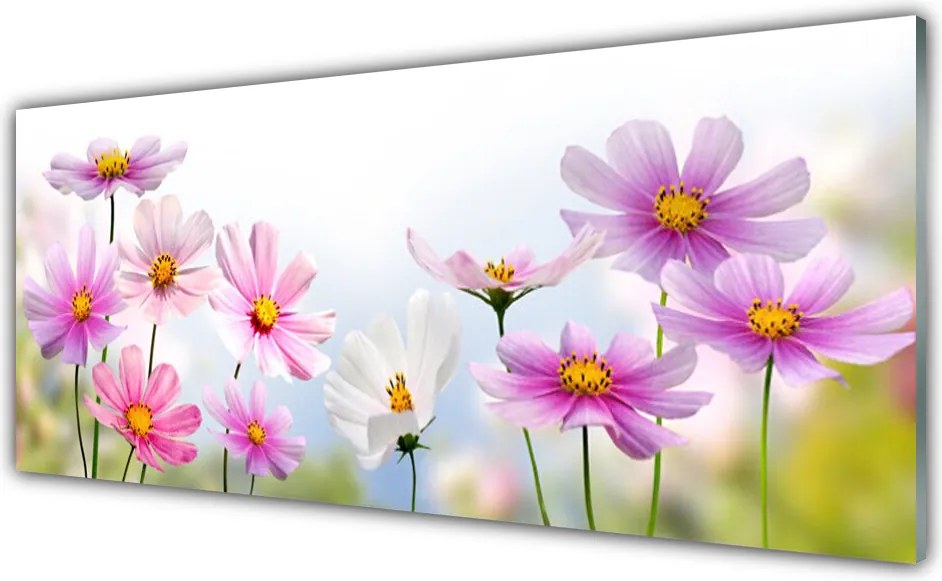 Panel Szklany Wiosenna Łąka na Płótnie