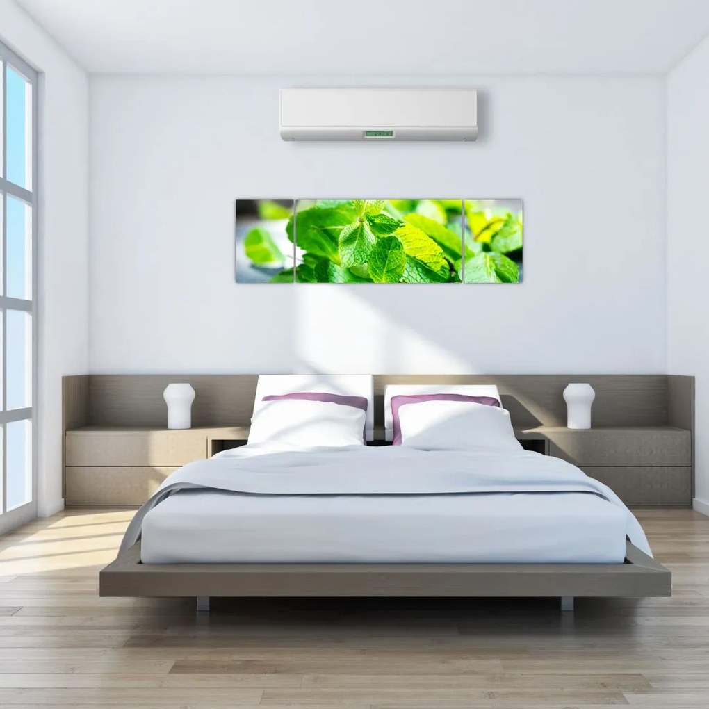 Obraz mięty (170x50 cm)