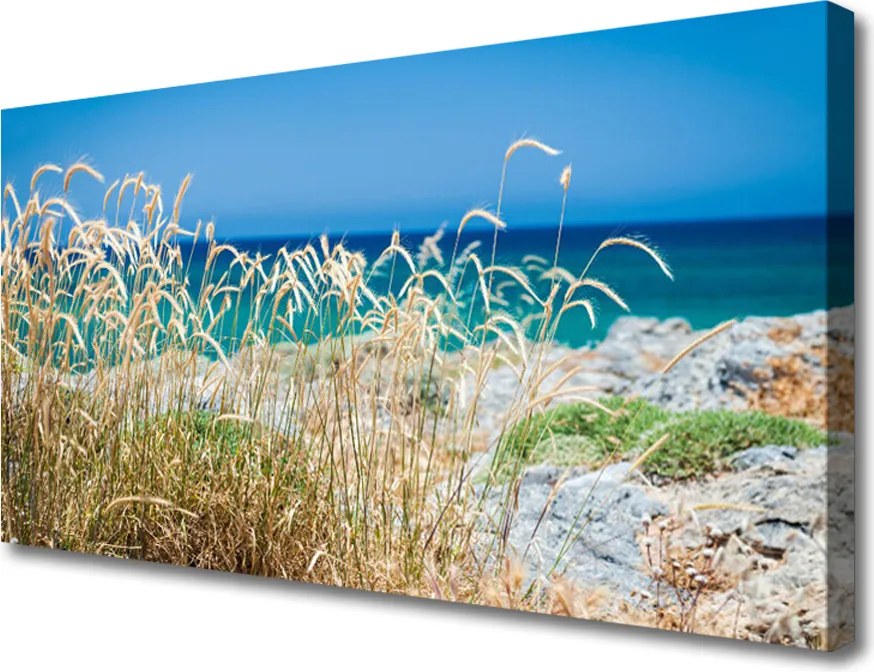 Obraz na płótnie Złocisty Piasek i Błękit Nieba