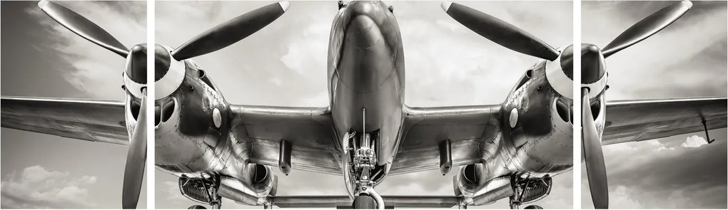 Obraz - Warbird (170x50 cm)