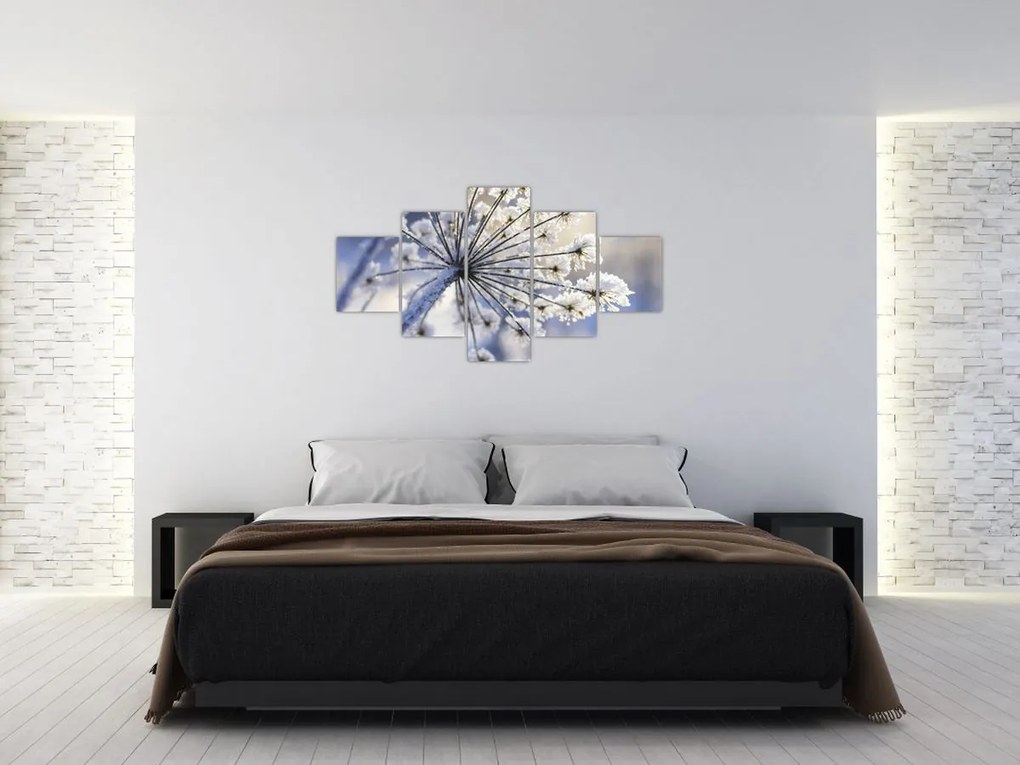 Obraz - Zamarznięty kwiat (125x70 cm)