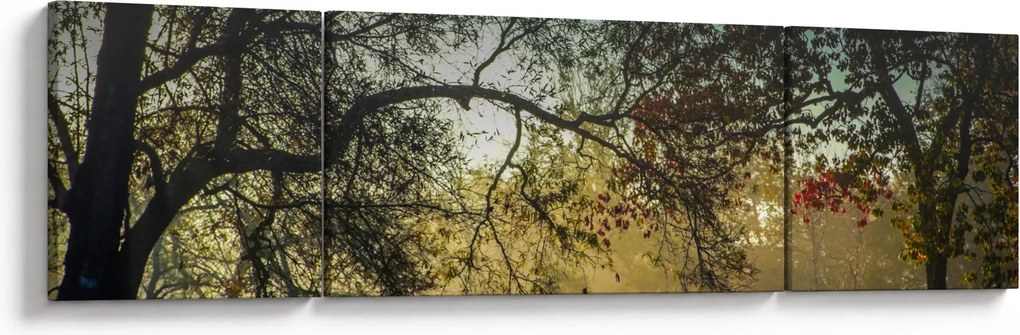 Obraz wschodu słońca (170x50 cm)