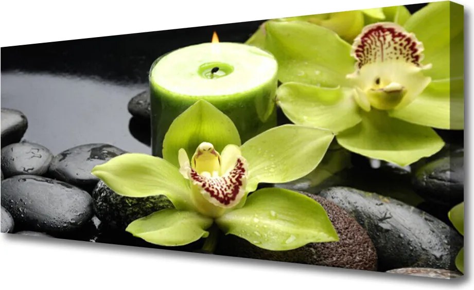 Obraz canvas Elegancja Białej Orchidei