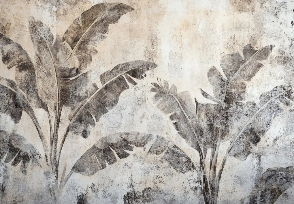 Fototapeta - Drzewo bananowe na ścianie (196x136 cm)