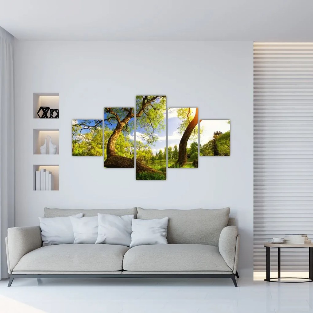 Obraz wiosennej łąki (125x70 cm)