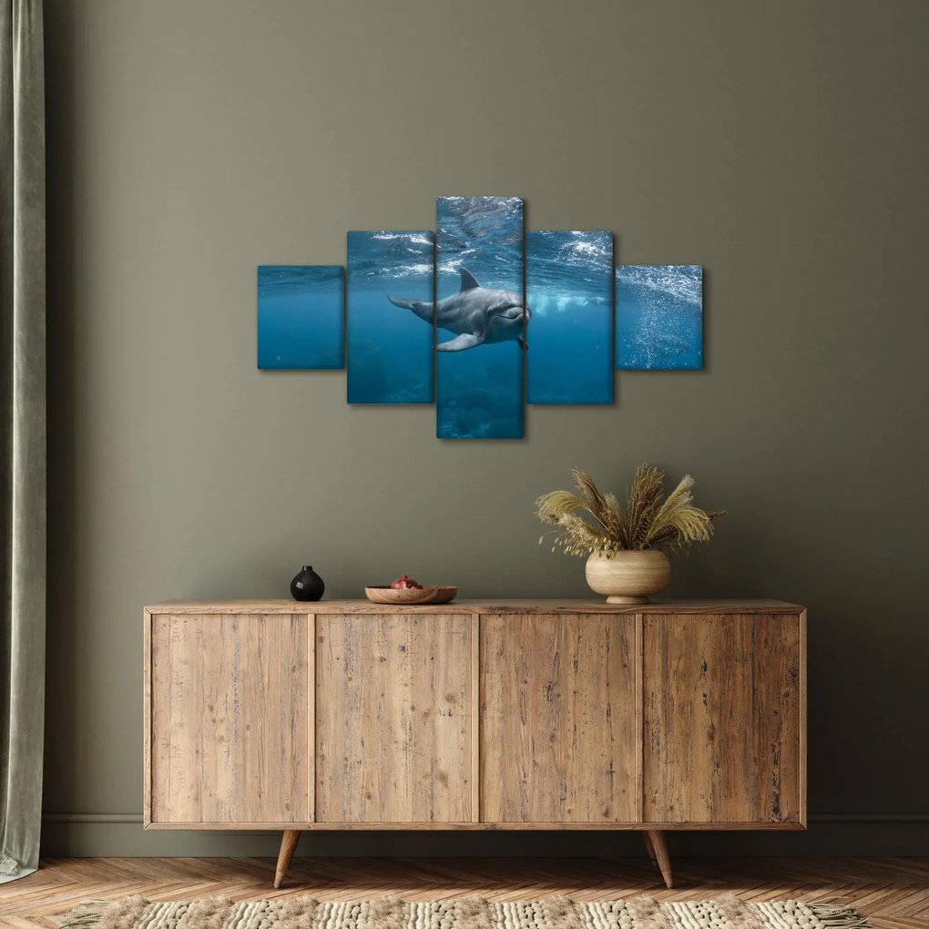 Obraz - Delfin pod wodą (125x70 cm)