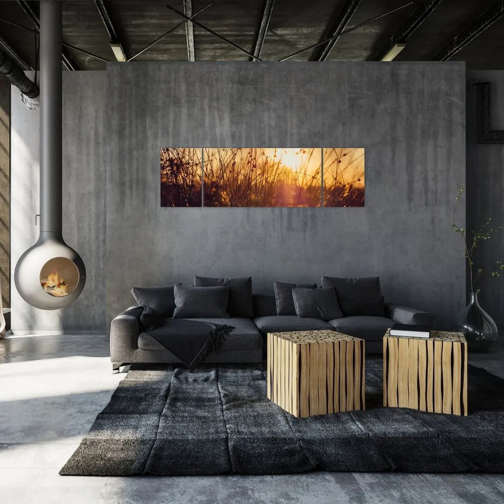 Obraz pola o zachodzie słońca (170x50 cm)