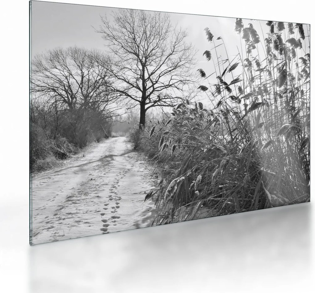 Obraz na szkle - Pola w zimie (70x50 cm)