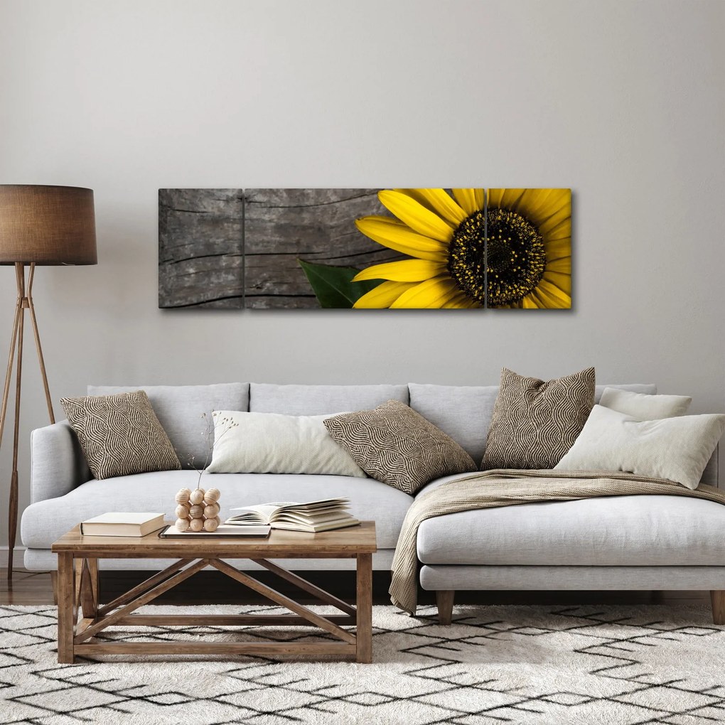 Obraz - Kwiat słonecznika (170x50 cm)