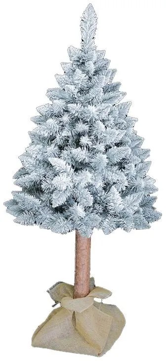 CHOINKA NA PNIU SOSNA GÓRSKA 180 CM OŚNIEŻONA