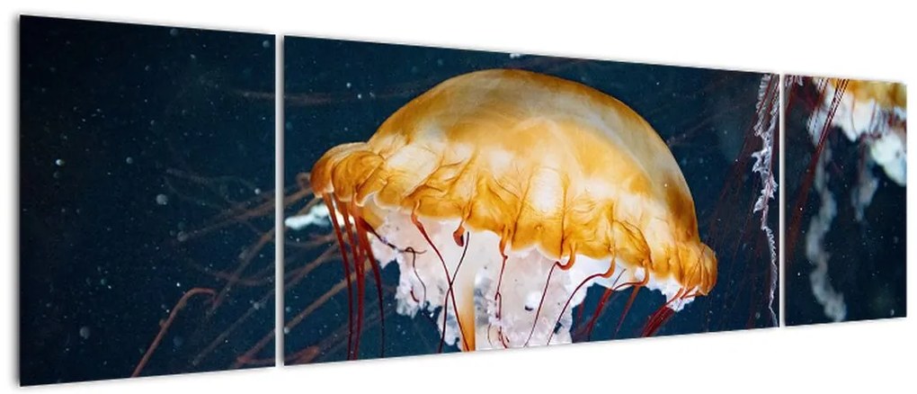 Obraz meduzy (170x50 cm)