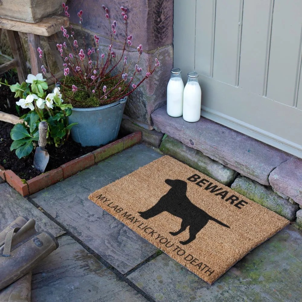 Wycieraczka z włókna kokosowego 40x60 cm Labrador – Artsy Doormats