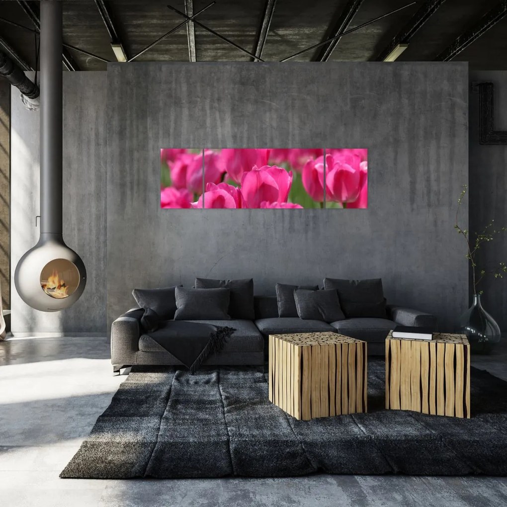 Obraz - Różowe tulipany (170x50 cm)