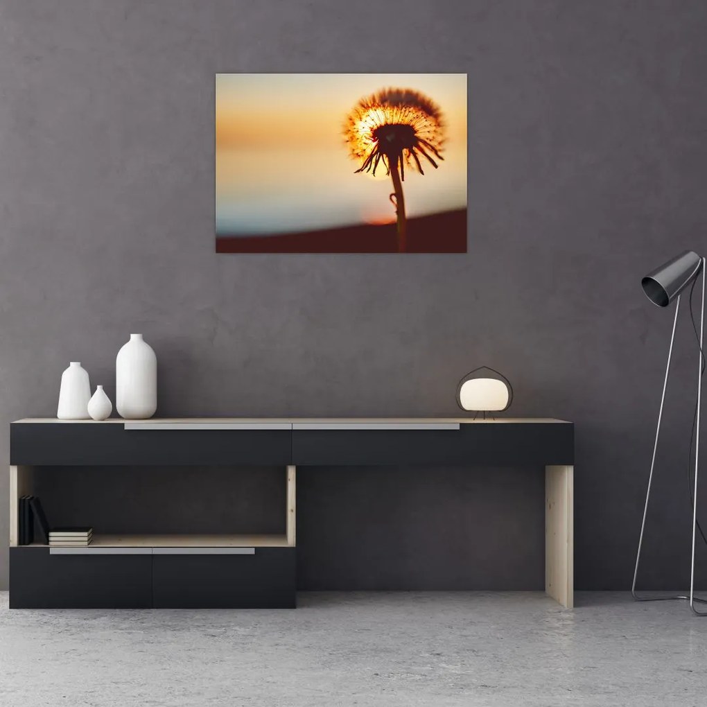 Obraz na szkle dmuchawca o zachodzie słońca (70x50 cm)