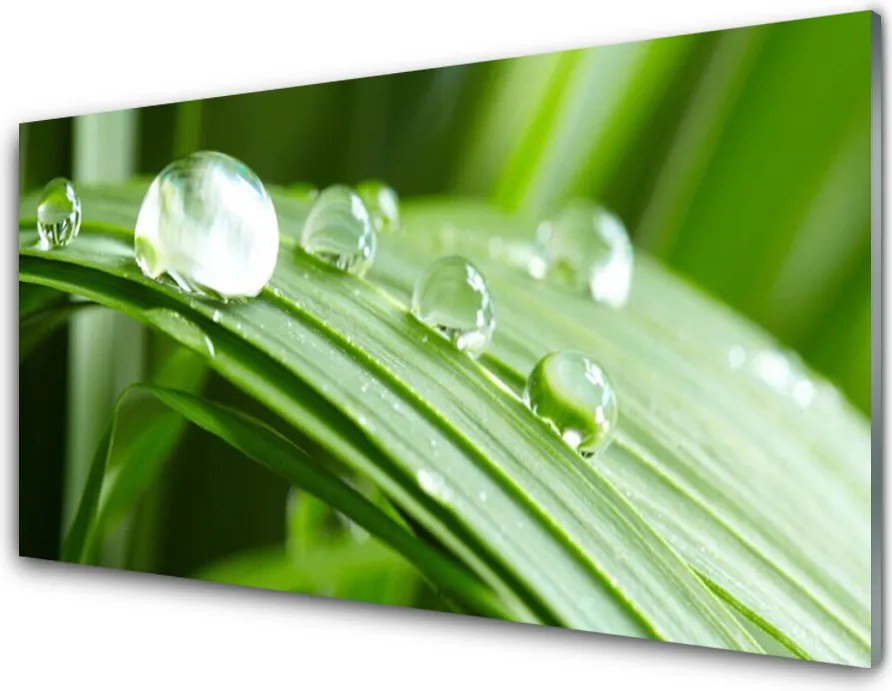 Szkło do Kuchni na Ścianę Kropla Rosy W Makrofotografii